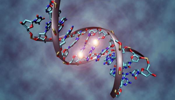 ДНК может спонтанно мутировать